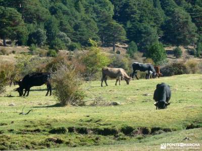 Azud y nacimiento Acueducto de Segovia; sightseeing montaña consejos senderismo para principiantes 